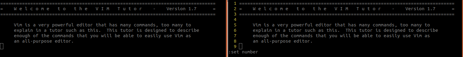 vim line numbers